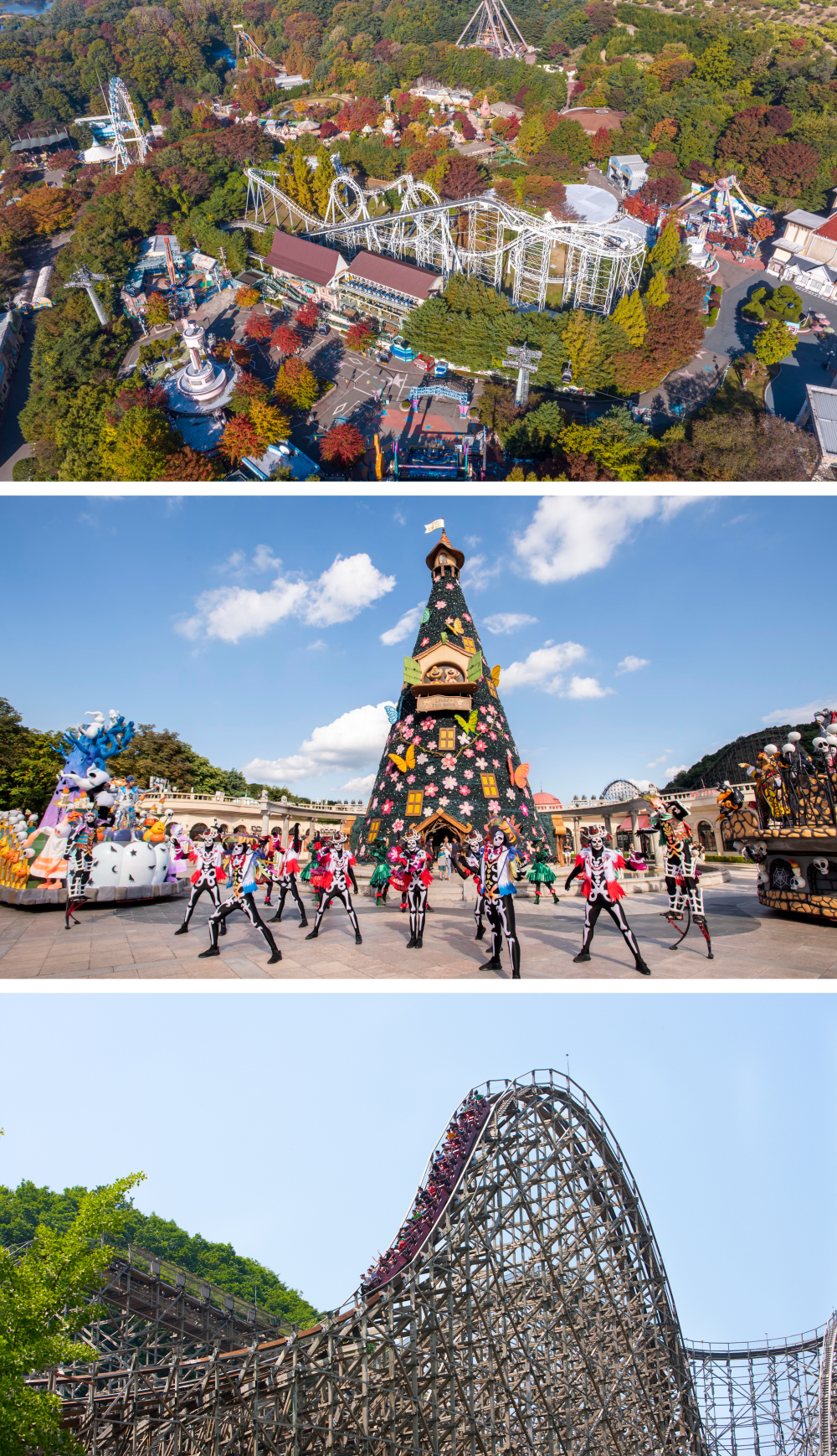 Everland day pass