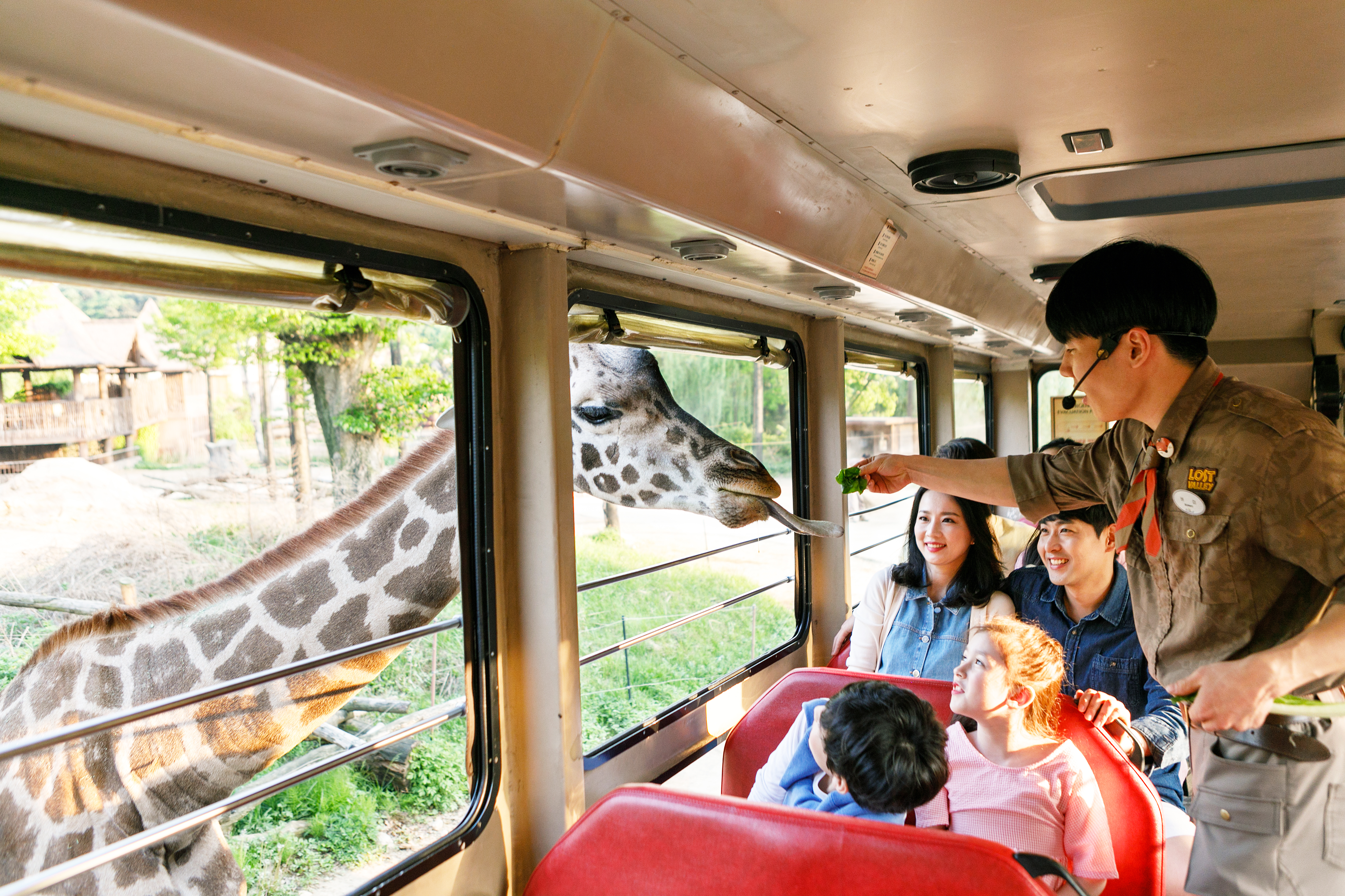 Discounted ticket entry to Everland amusement park