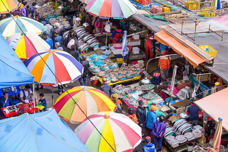 Jagalchi Market evening scene from Busan Old Town sunset tour