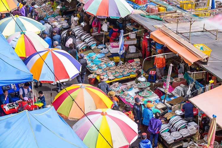 Jagalchi Market evening scene from Busan Old Town sunset tour