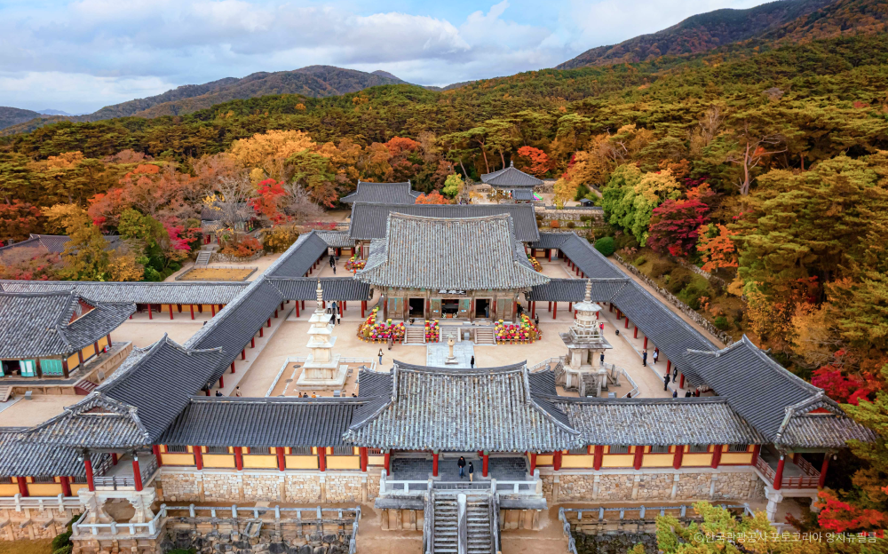 Half day tour Gyeongju