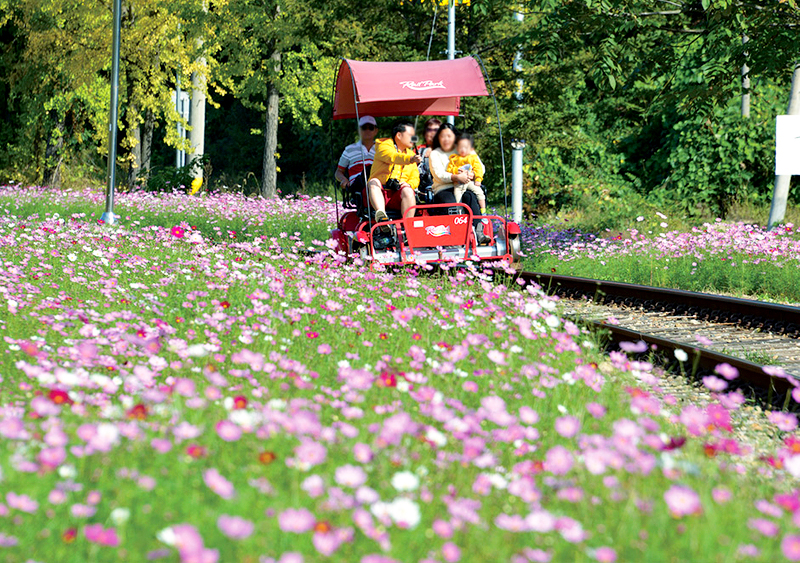 Gangchon Rail Bike ticket – scenic railway ride Korea