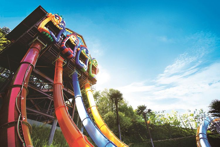 Caribbean Bay wave pool and water slides