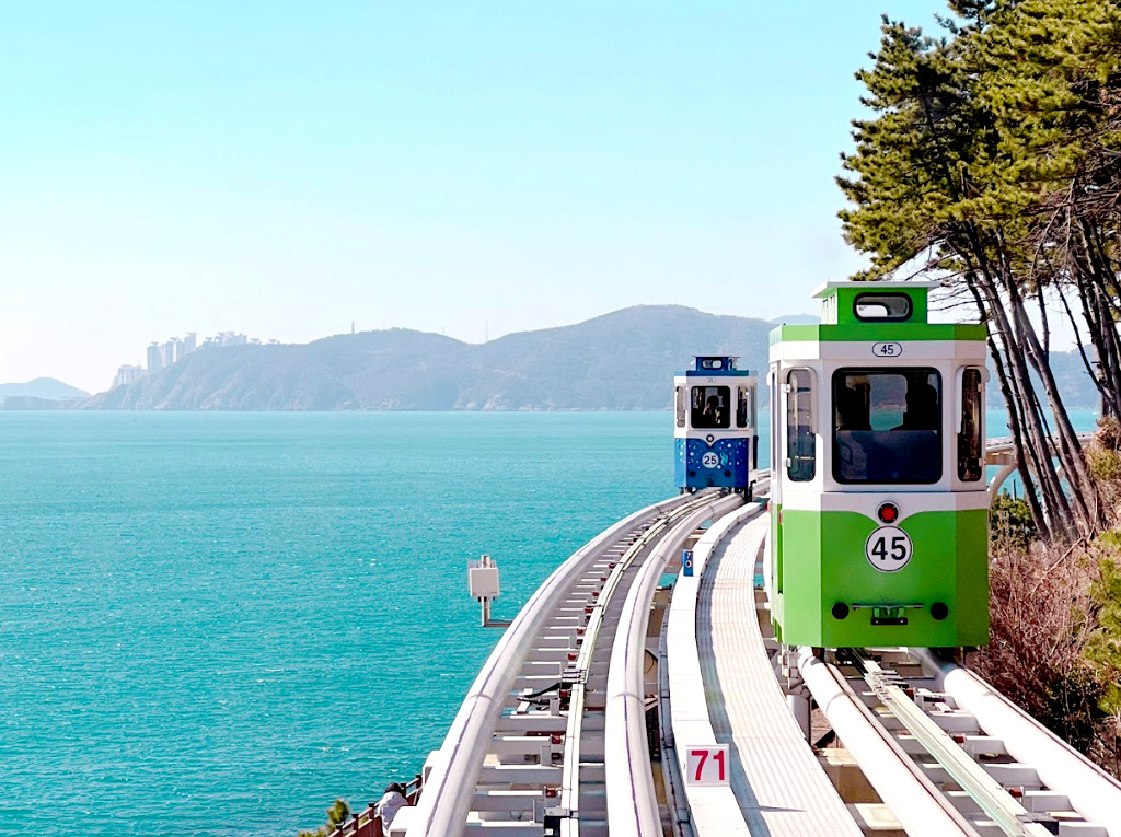 Busan day tour with Sky Capsule