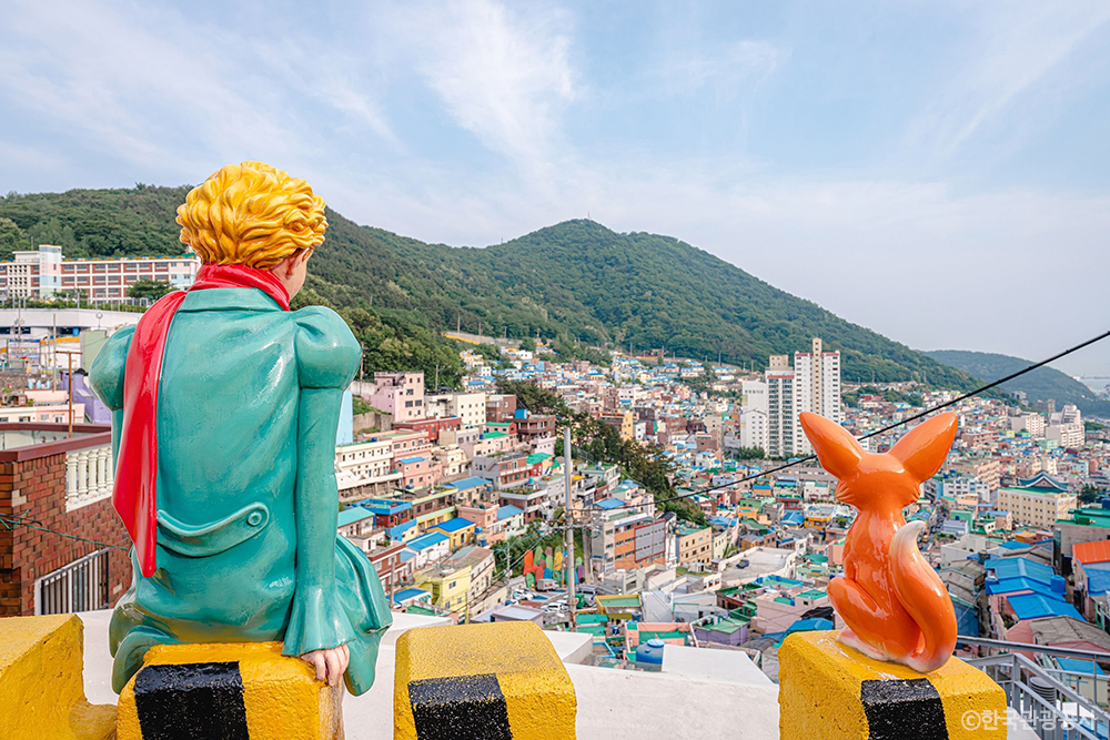 Busan sightseeing tour for travelers