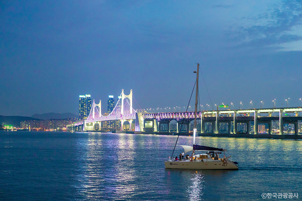 Busan yacht cruise day tour
