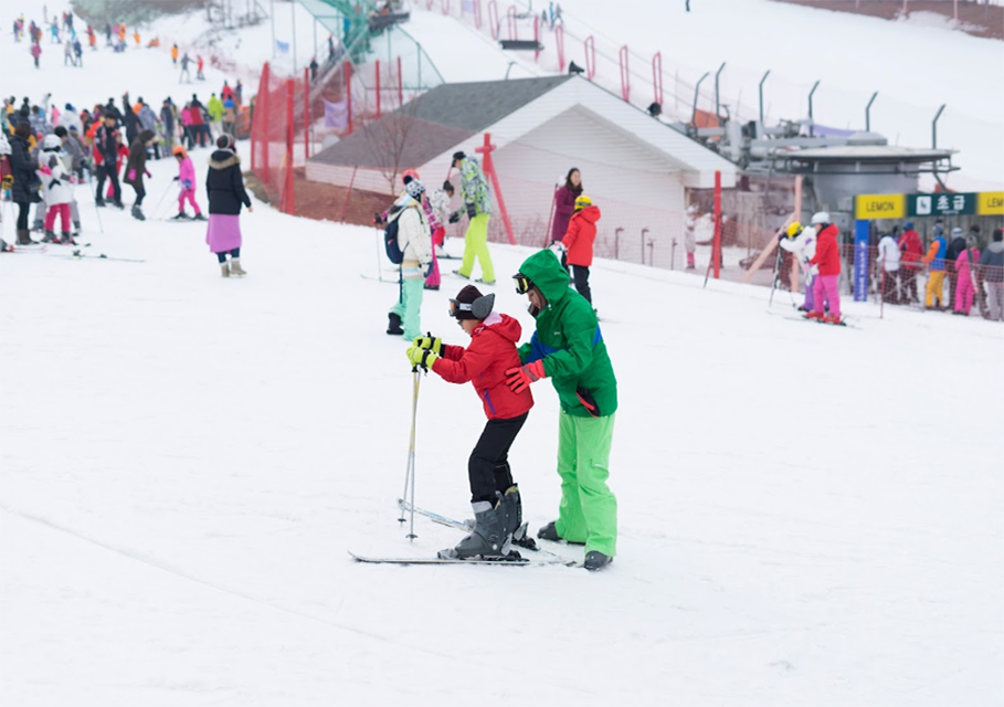 Jisan ski tour from Seoul