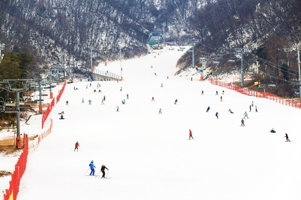 Jisan Forest Ski Resort winter scenery